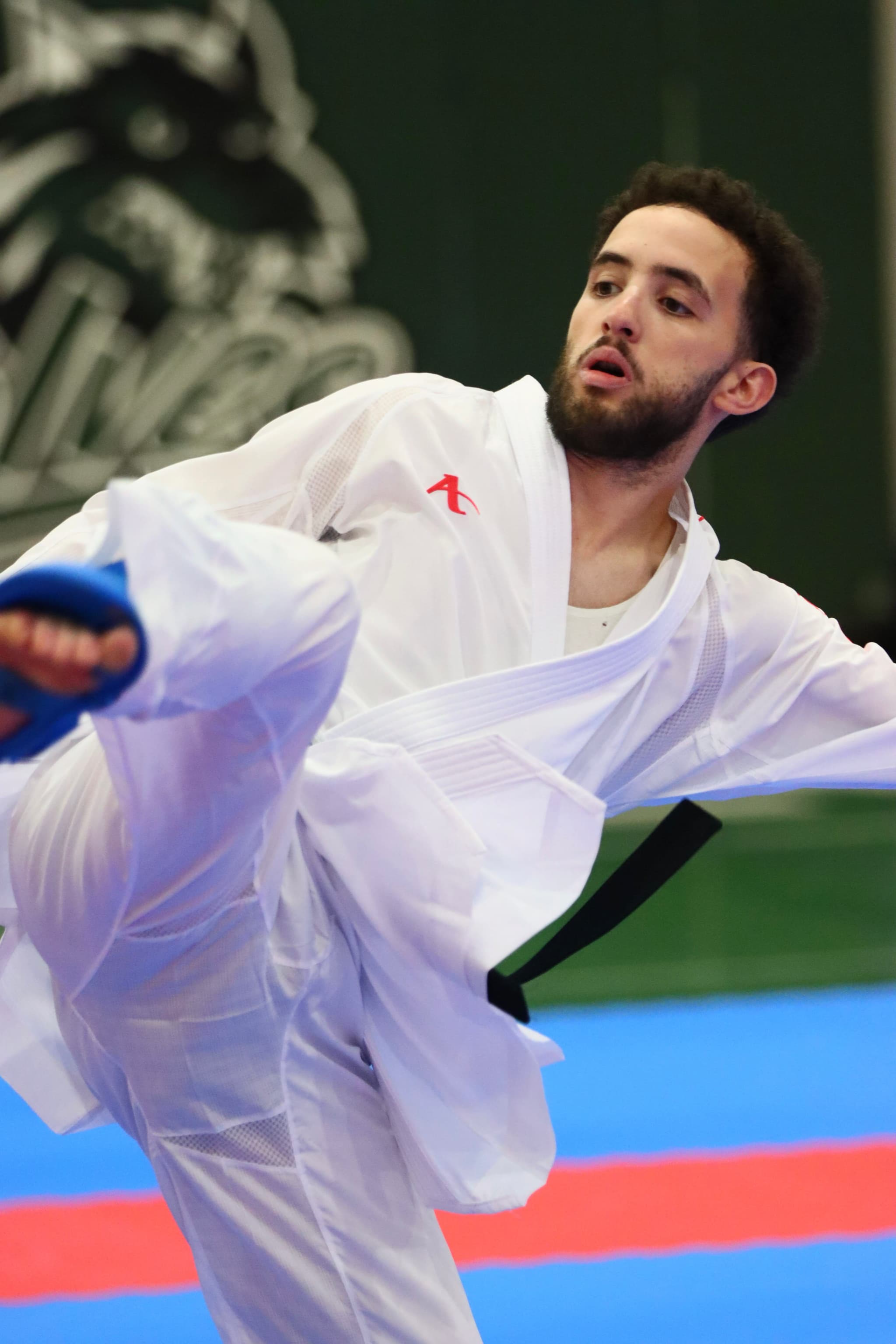 Muhimen kumite action